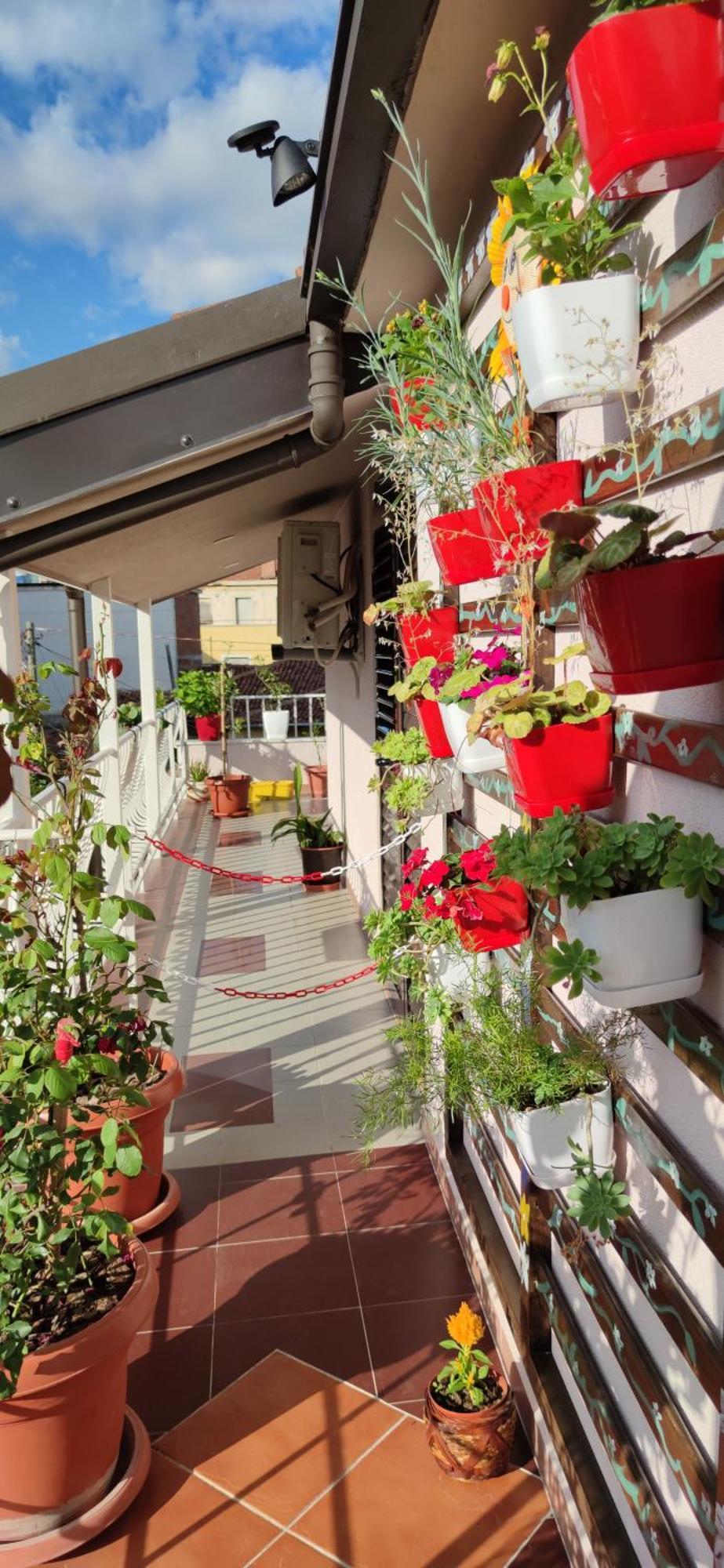 Lille France Apartments Shkodër 客房 照片